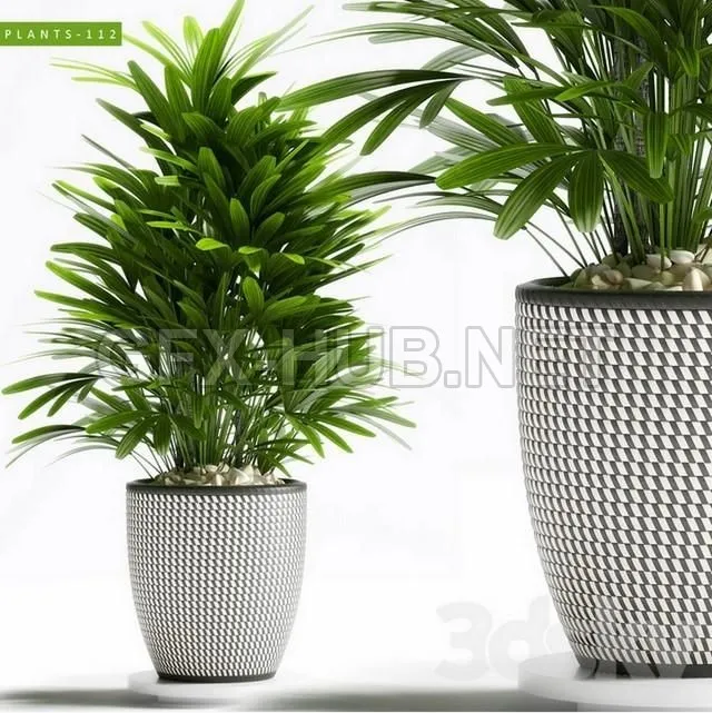 FURNITURE 3D MODELS – PLANTS 112