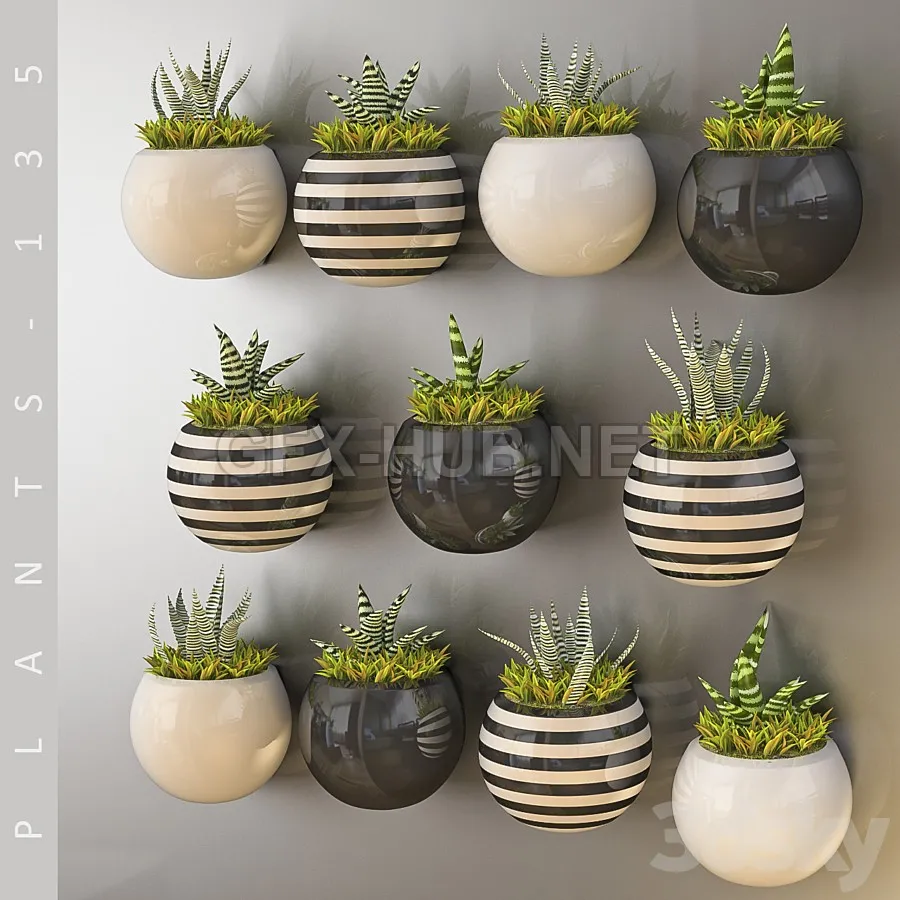 FURNITURE 3D MODELS – PLANTS 135