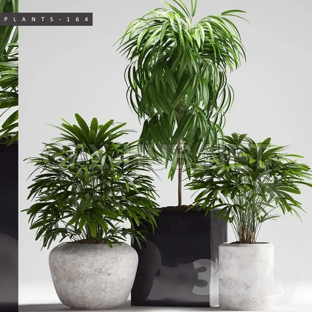 3DSMAX - FREE 3DS MAX MODELS