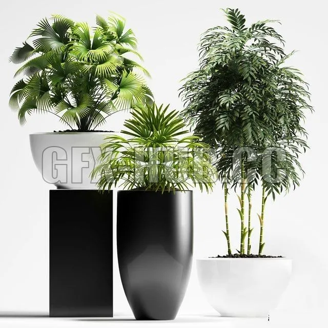 FURNITURE 3D MODELS – Plants 195
