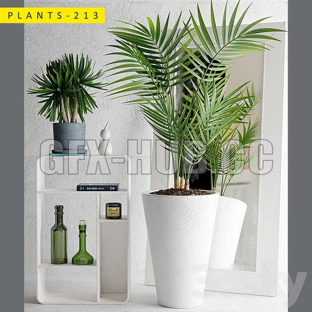 FURNITURE 3D MODELS – Plants 213 with palm