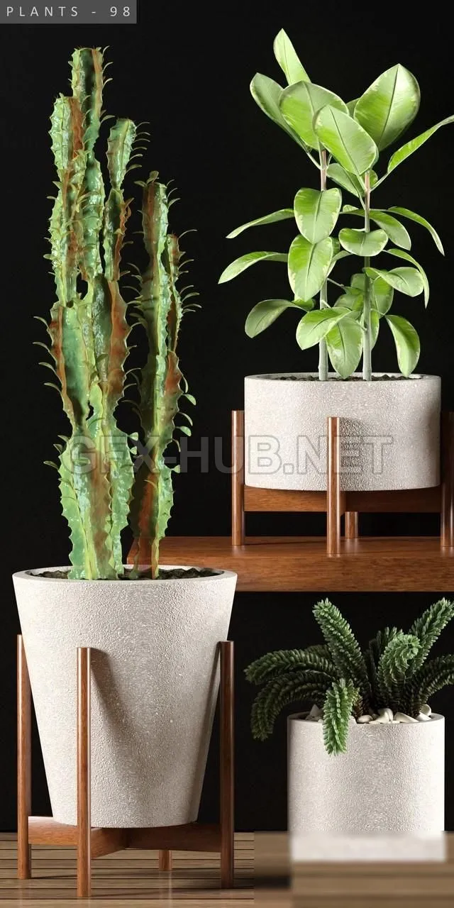 FURNITURE 3D MODELS – PLANTS 98