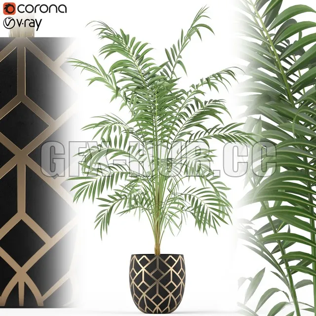 FURNITURE 3D MODELS – Plants collection 216 (palm in pot)