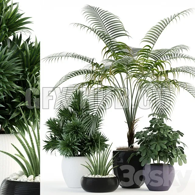 FURNITURE 3D MODELS – Plants Collection 86