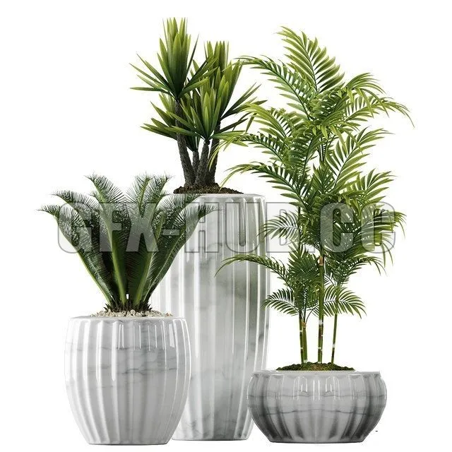 FURNITURE 3D MODELS – Plants in Pots 140