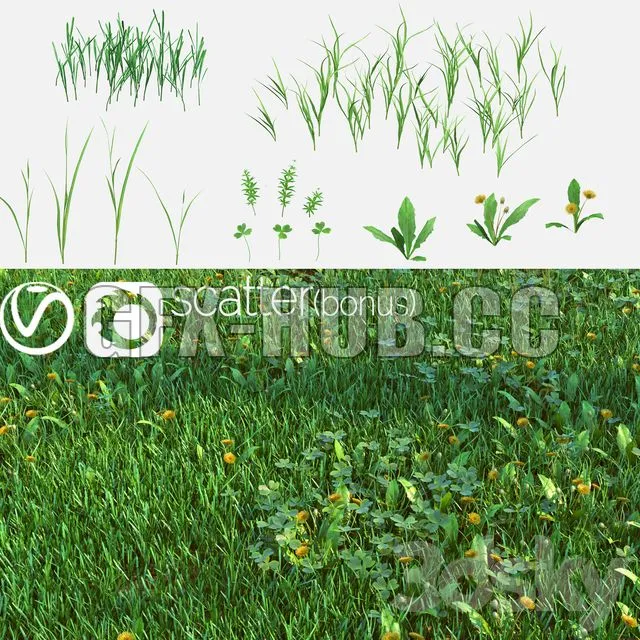 FURNITURE 3D MODELS – Set for the Creation of Field Grass and Lawns