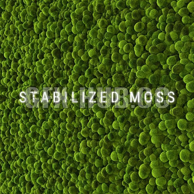 FURNITURE 3D MODELS – Stabilized Moss, Panel