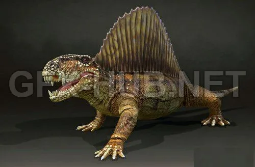 PBR Game 3D Model – Dimetrodon