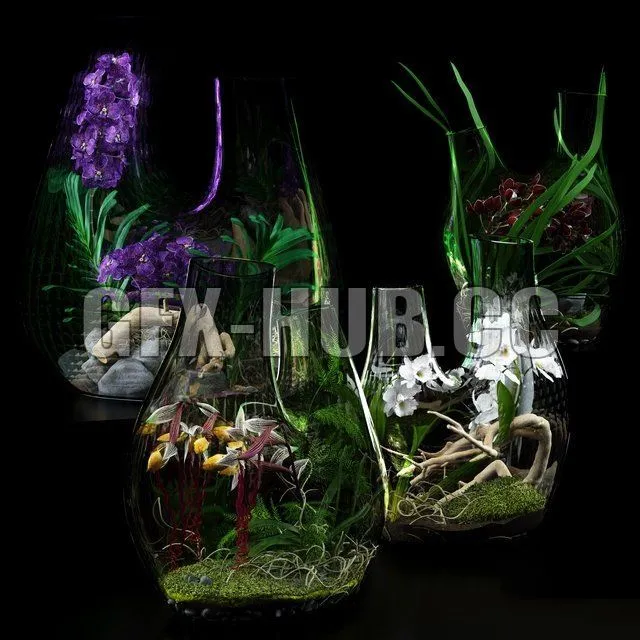 FURNITURE 3D MODELS – Terrarium vases with Orchids