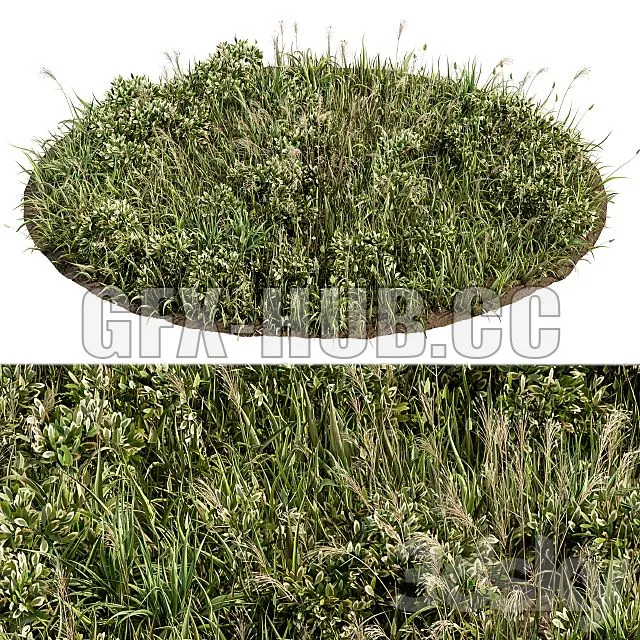 FURNITURE 3D MODELS – Wild Grass Green Grass Set 01