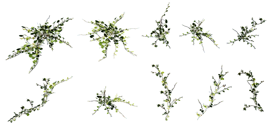 PLANT – 3D MODELS – DOWNLOAD – 022