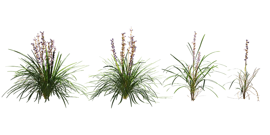 PLANT – 3D MODELS – DOWNLOAD – 027