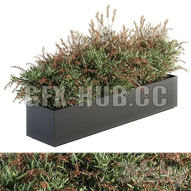 CAR – Outdoor Plant Set 166 Plant Box Bush 3D Model