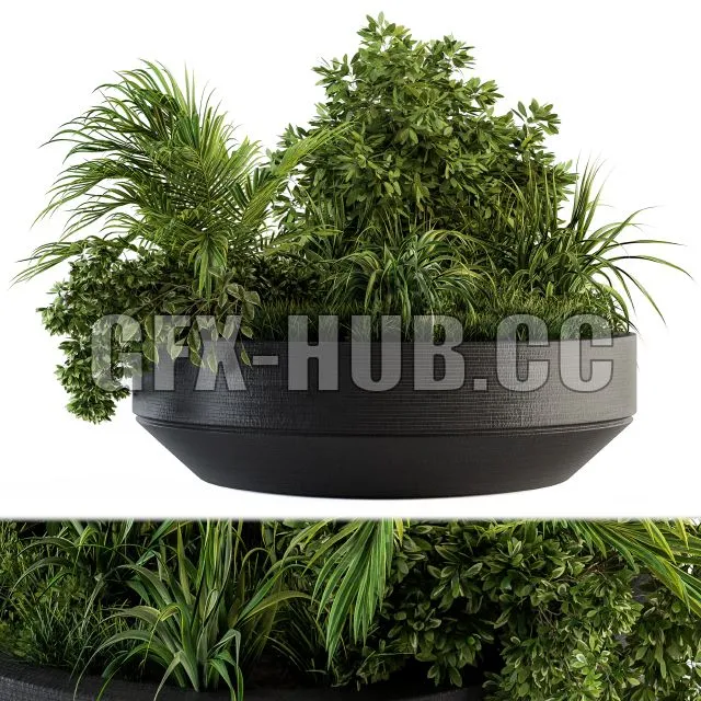 CAR – Outdoor Plants Tree in Concrete Pot Set 144 3D Model