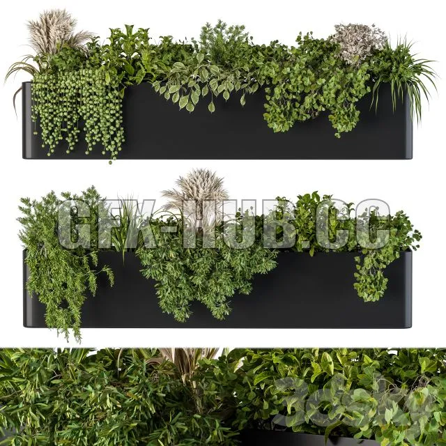 CAR – Plant Box on Wall 04 3D Model