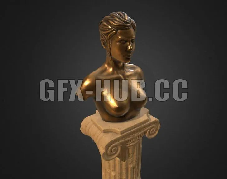 PBR Game 3D Model – Female Bust PBR