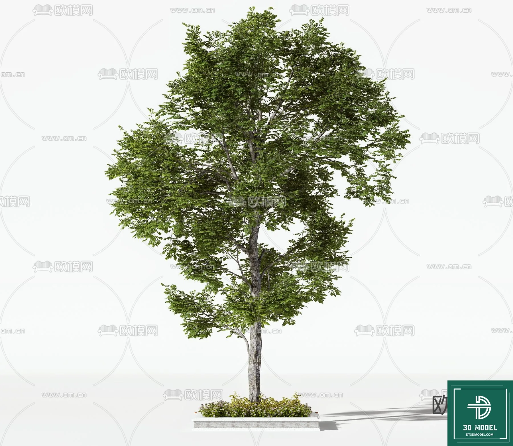 EXTERIOR – TREE – 3D MODELS – 017