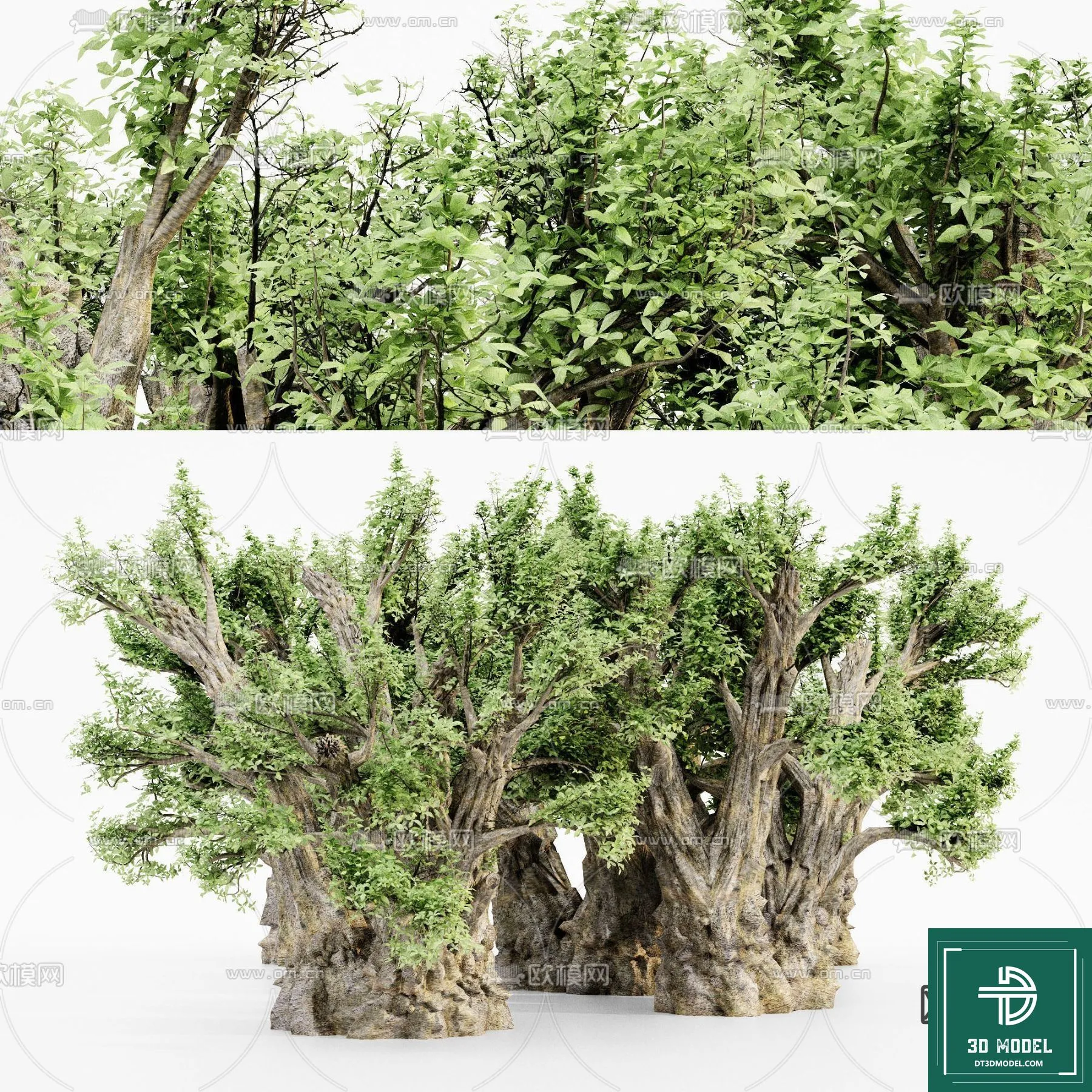 EXTERIOR – TREE – 3D MODELS – 018