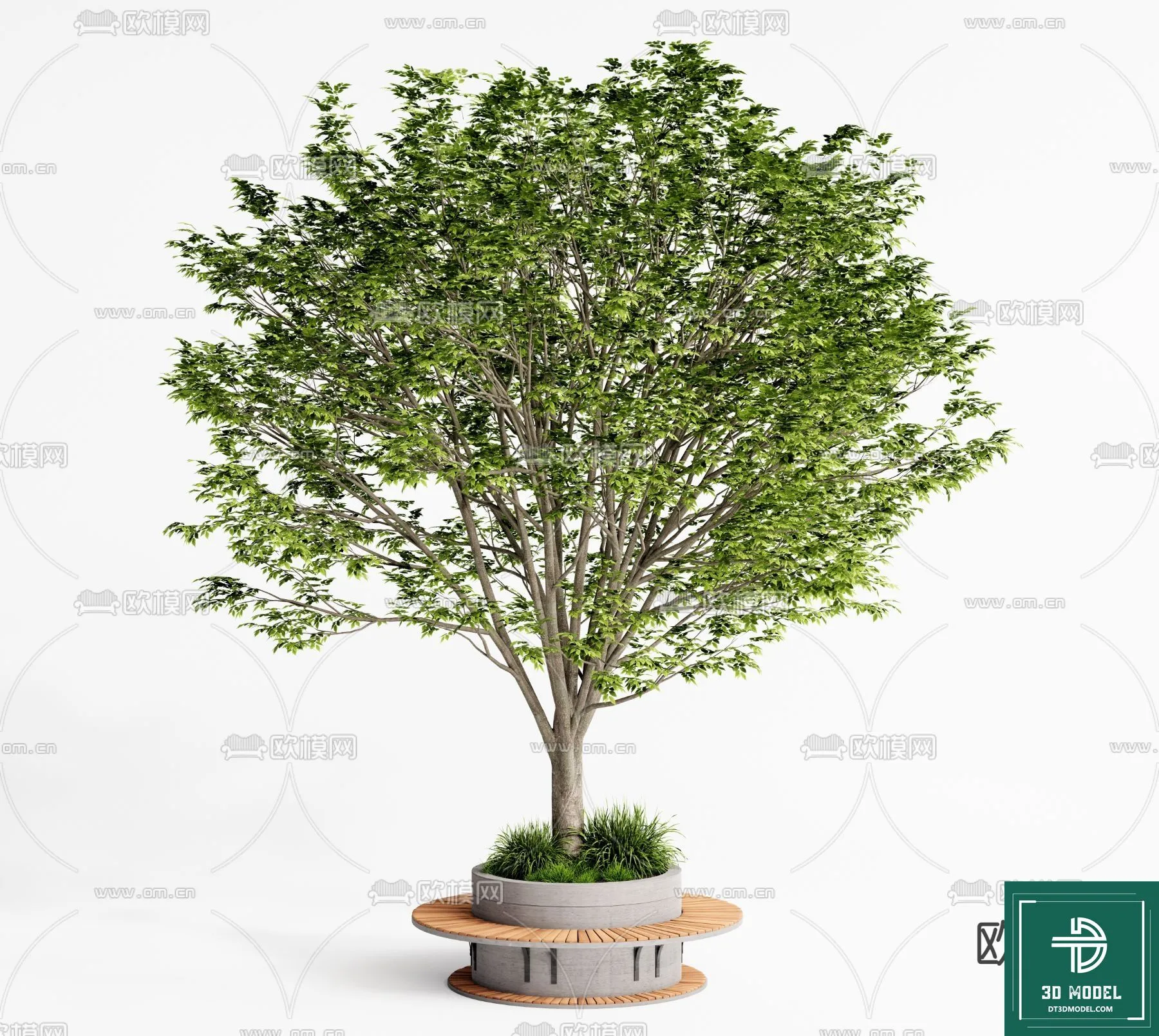 EXTERIOR – TREE – 3D MODELS – 036