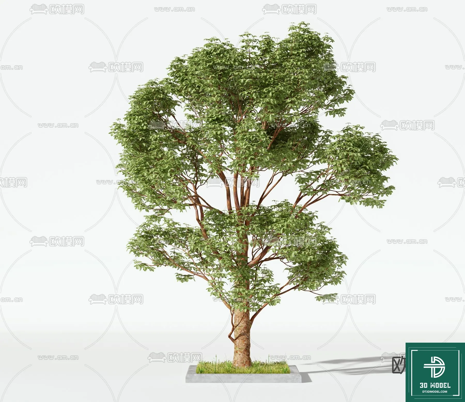EXTERIOR – TREE – 3D MODELS – 043