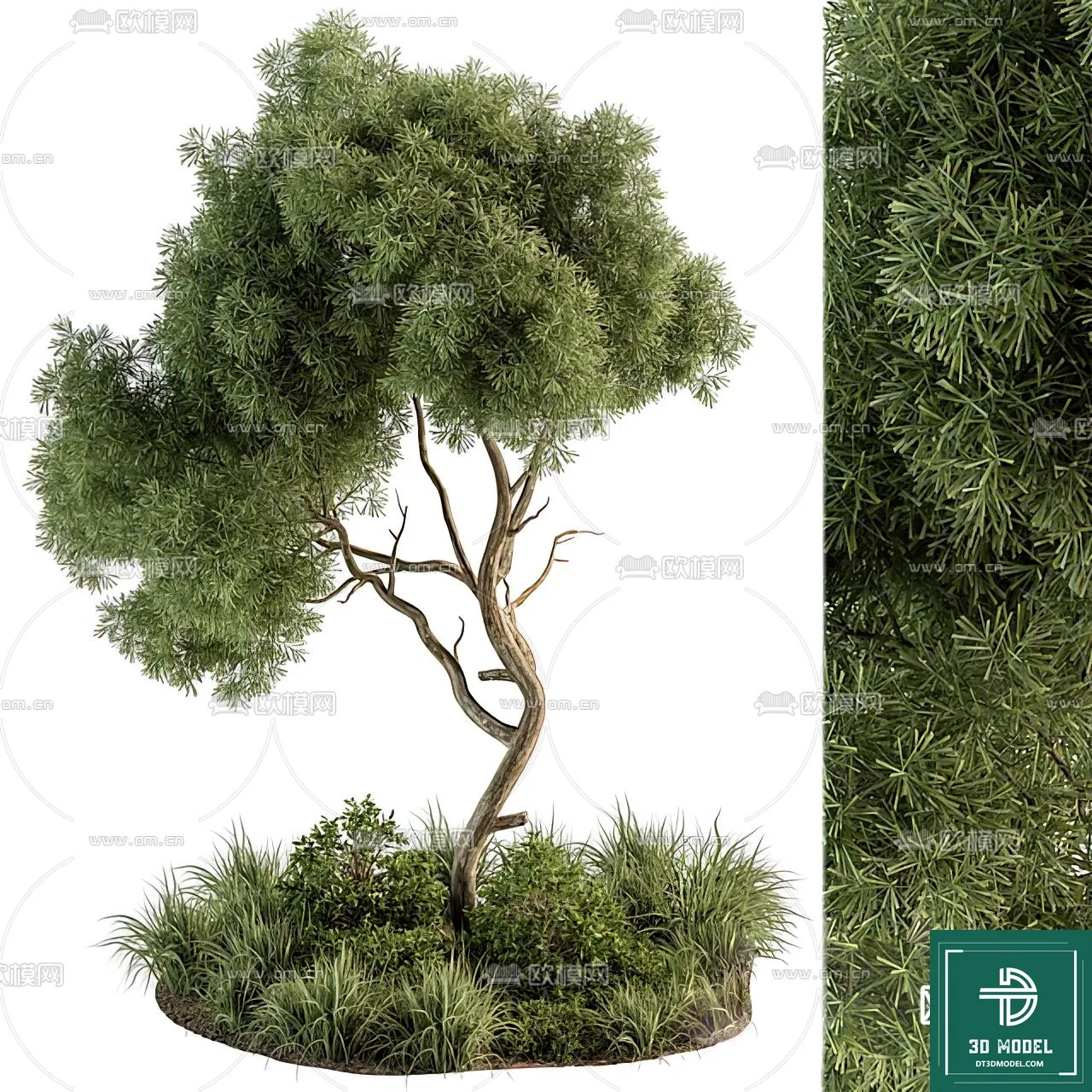 EXTERIOR – TREE – 3D MODELS – 049