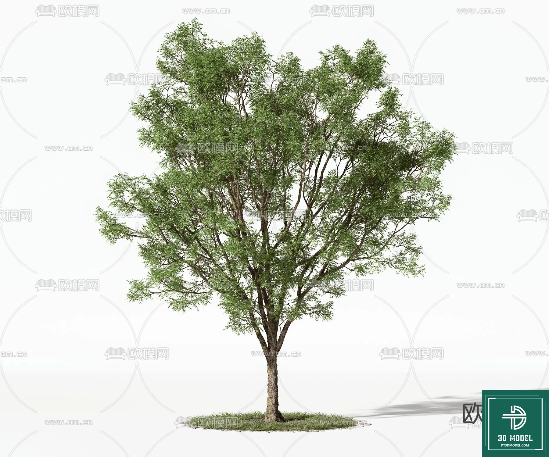 EXTERIOR – TREE – 3D MODELS – 059