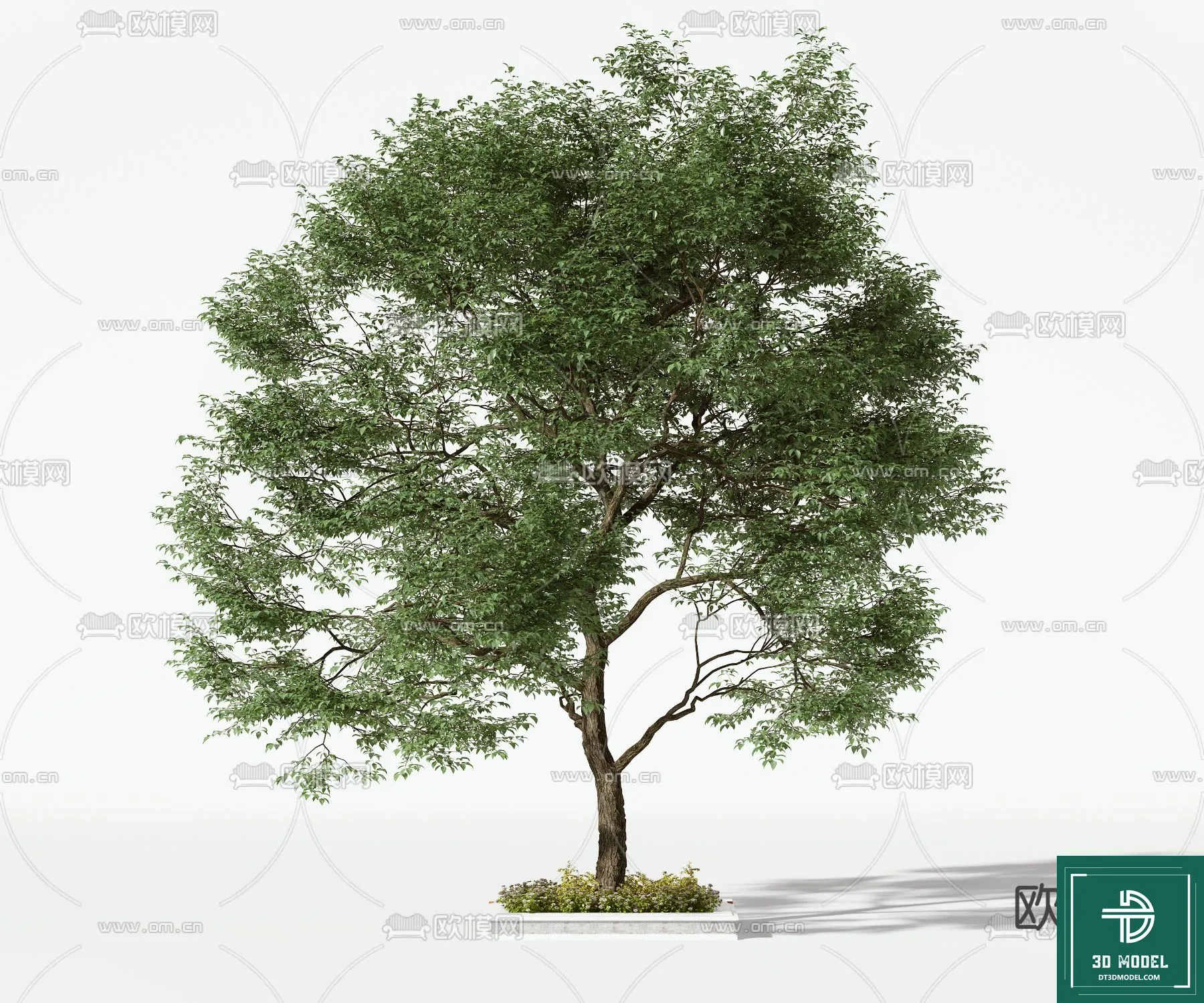 EXTERIOR – TREE – 3D MODELS – 067