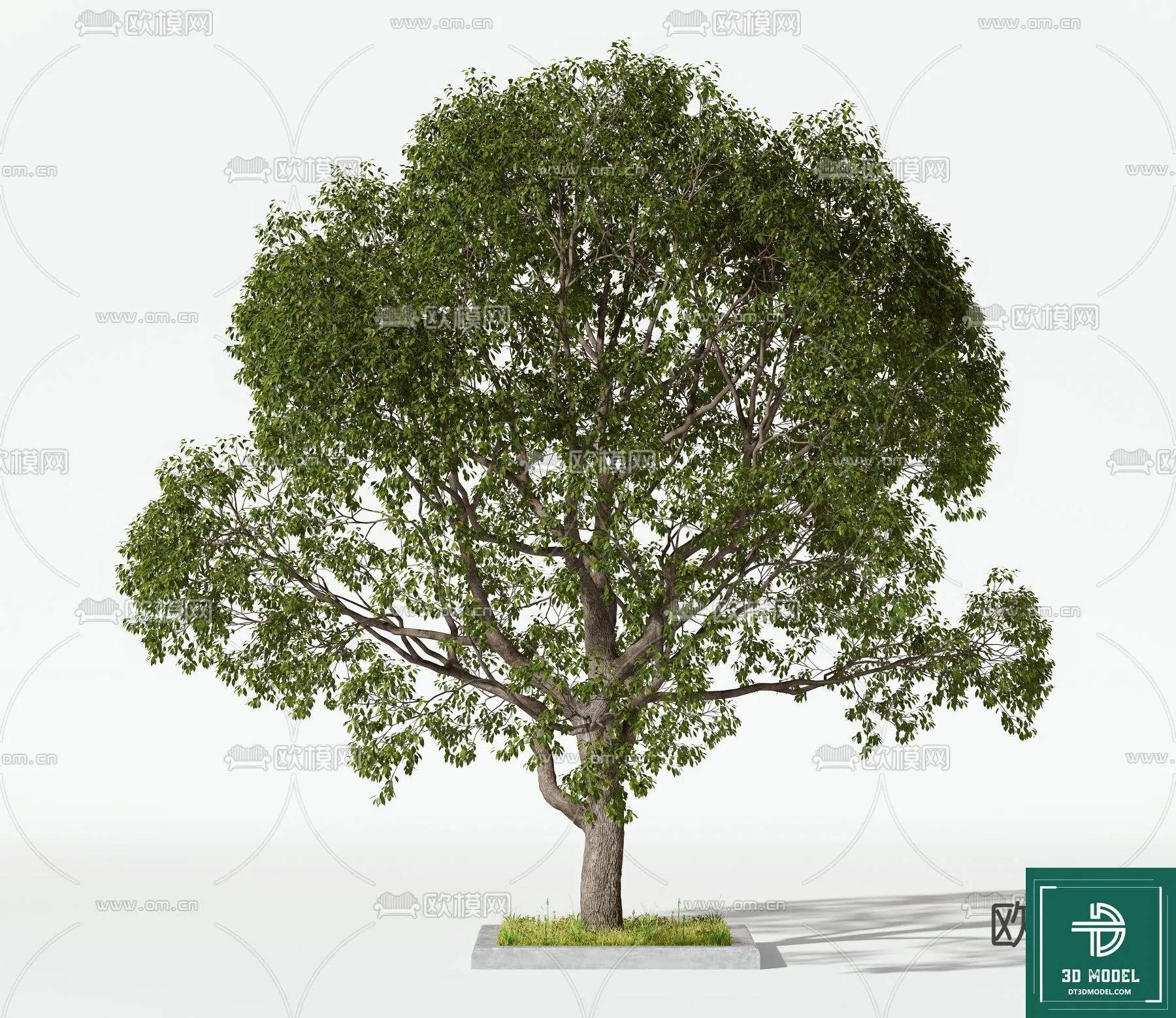 EXTERIOR – TREE – 3D MODELS – 085