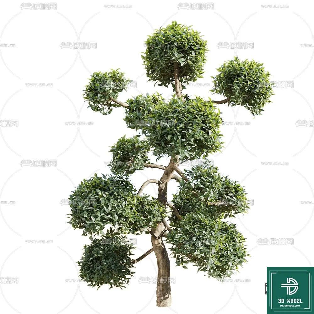 EXTERIOR – TREE – 3D MODELS – 097