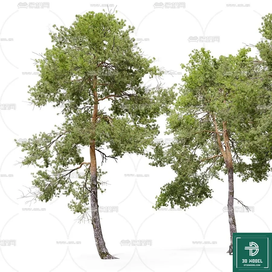 EXTERIOR – TREE – 3D MODELS – 115