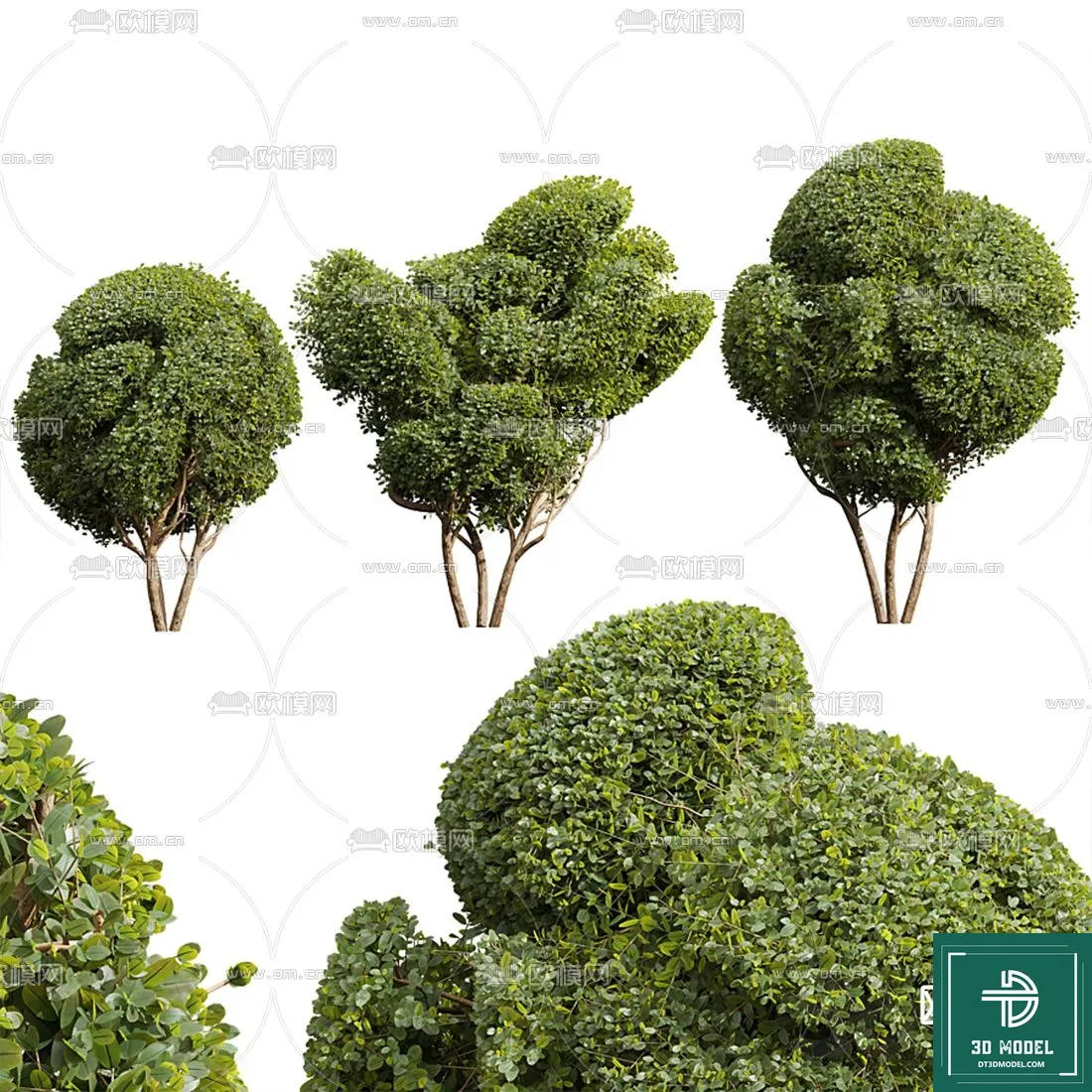 EXTERIOR – TREE – 3D MODELS – 120