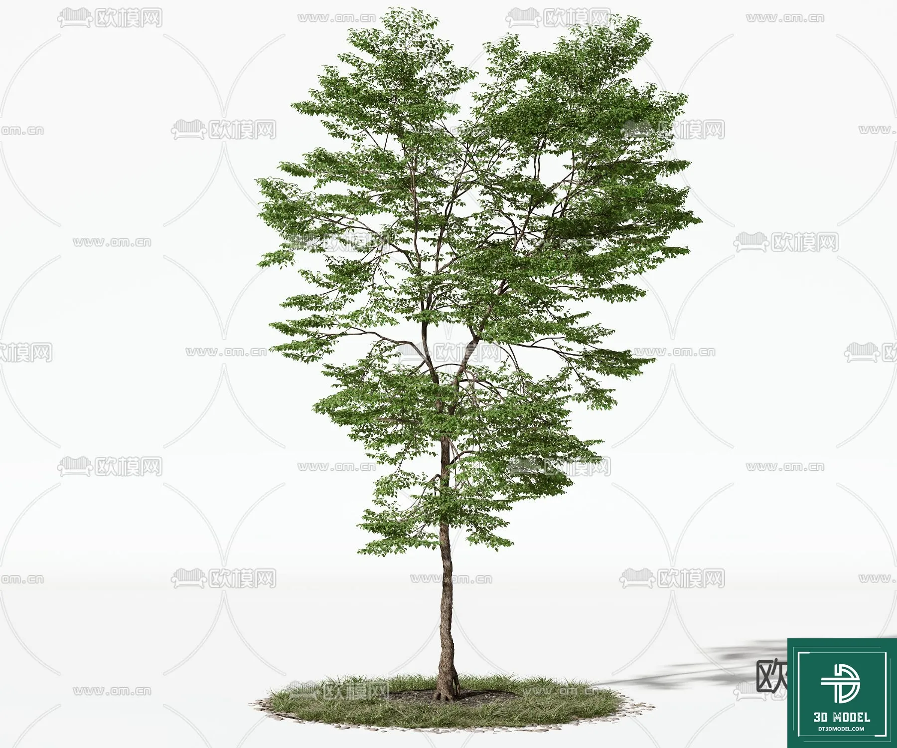 EXTERIOR – TREE – 3D MODELS – 123