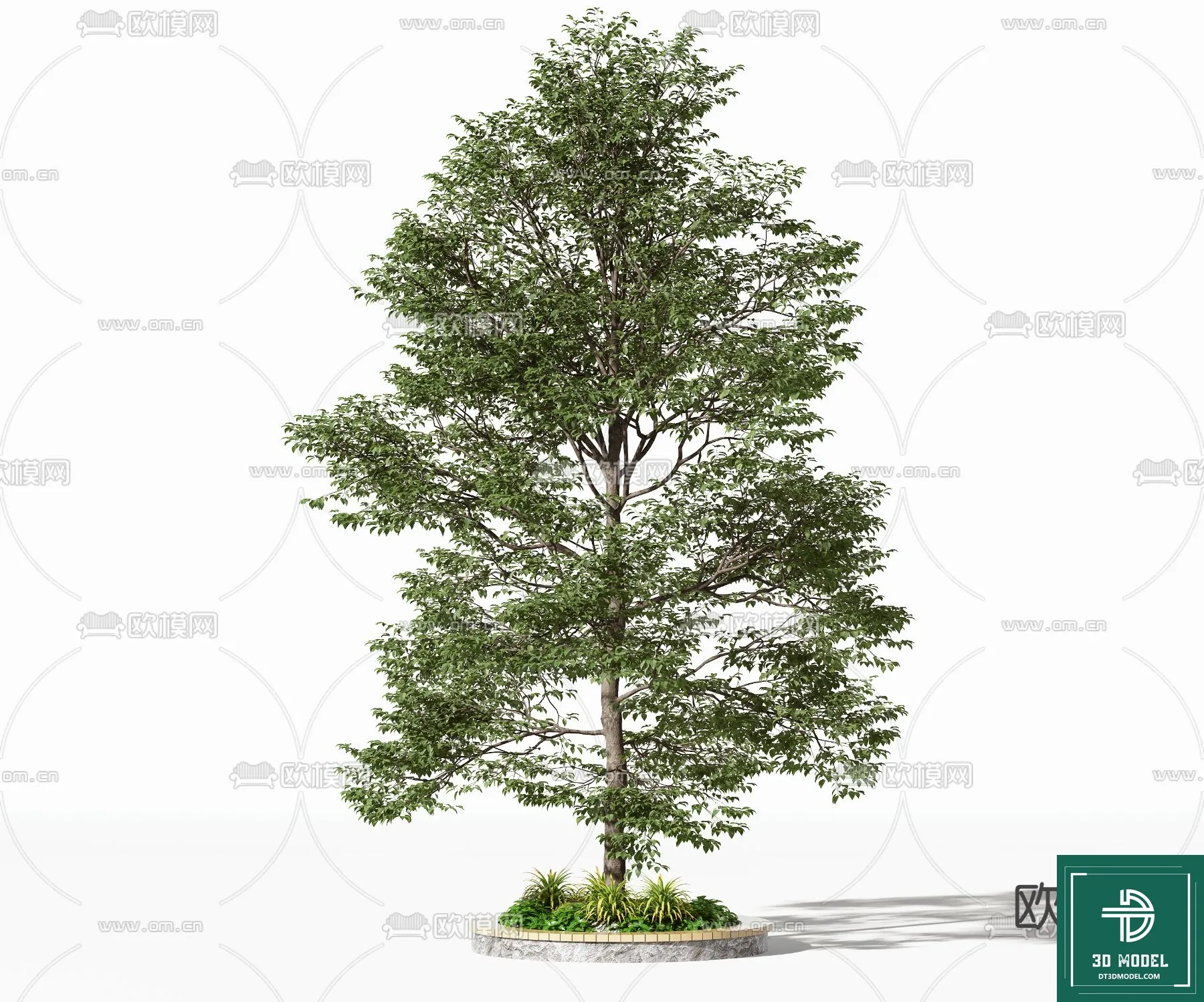 EXTERIOR – TREE – 3D MODELS – 125