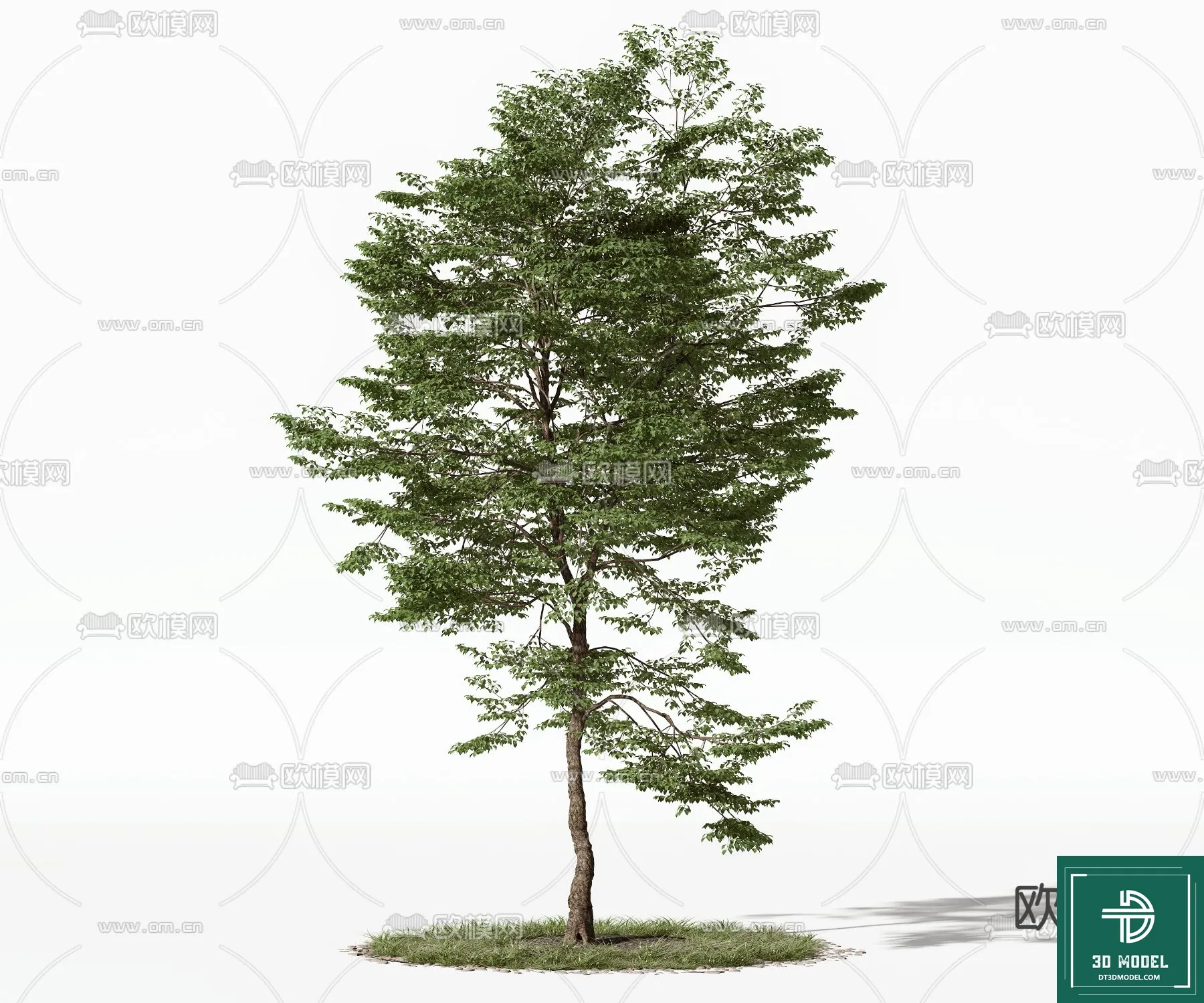 EXTERIOR – TREE – 3D MODELS – 127