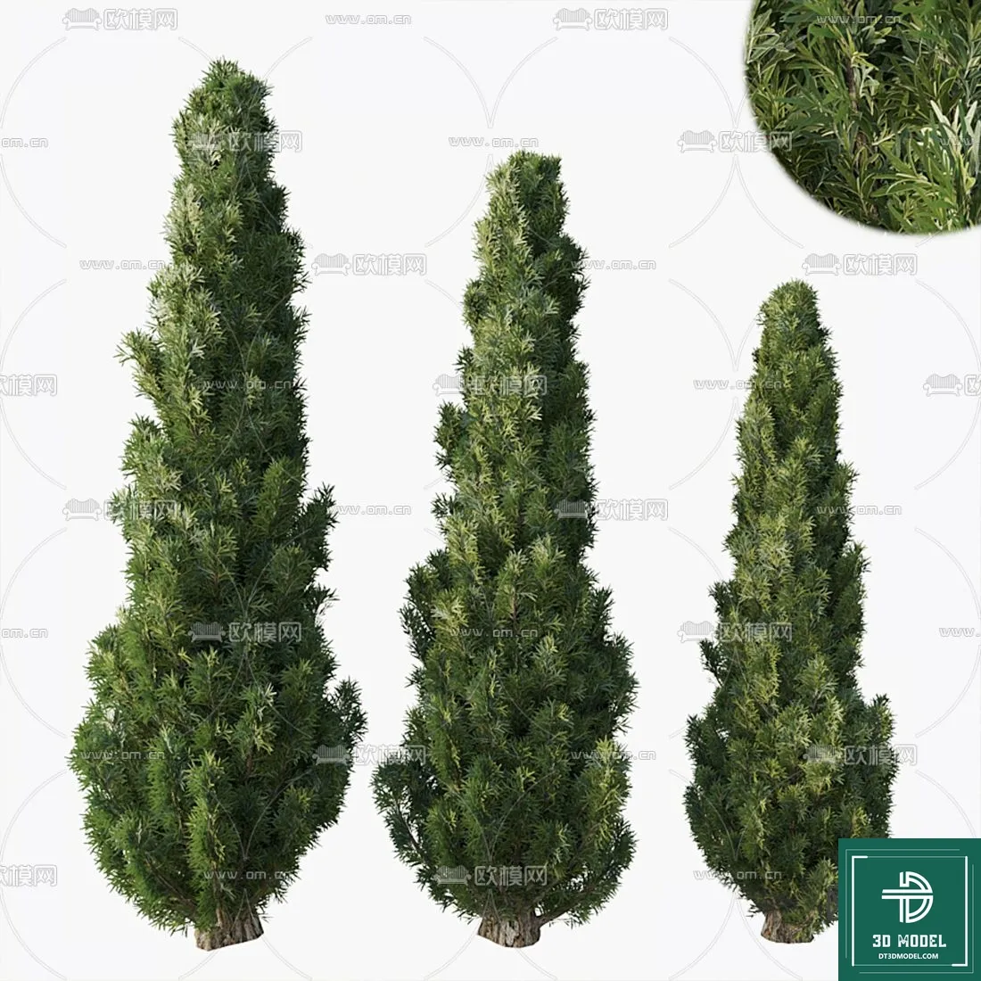 EXTERIOR – TREE – 3D MODELS – 137