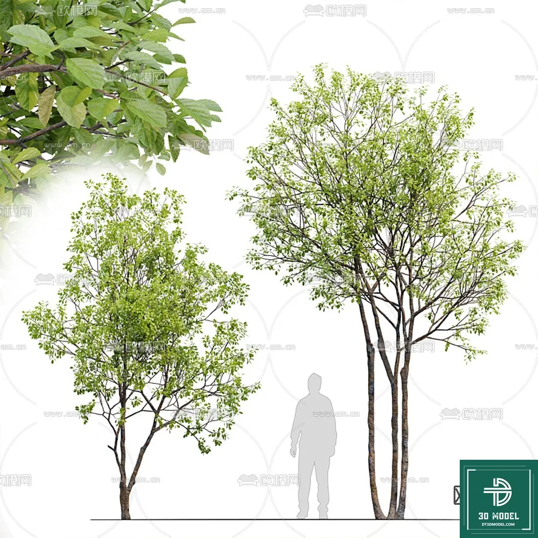 EXTERIOR – TREE – 3D MODELS – 138