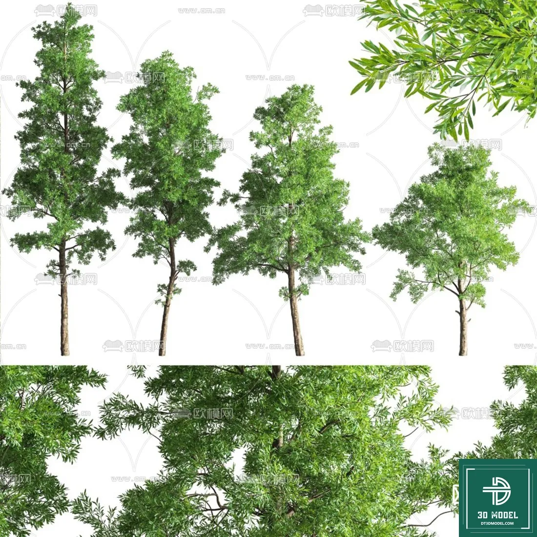 EXTERIOR – TREE – 3D MODELS – 147