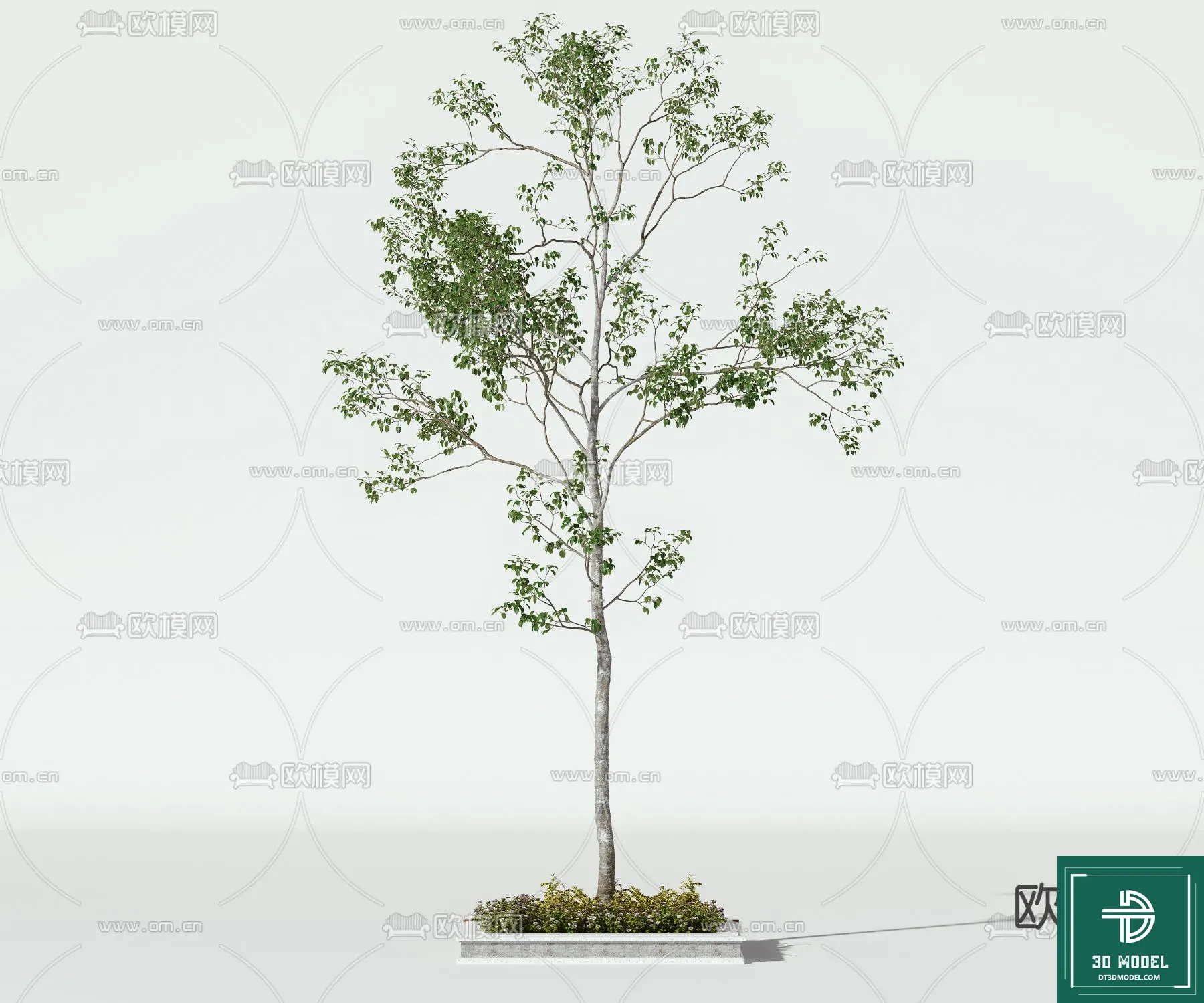 EXTERIOR – TREE – 3D MODELS – 148