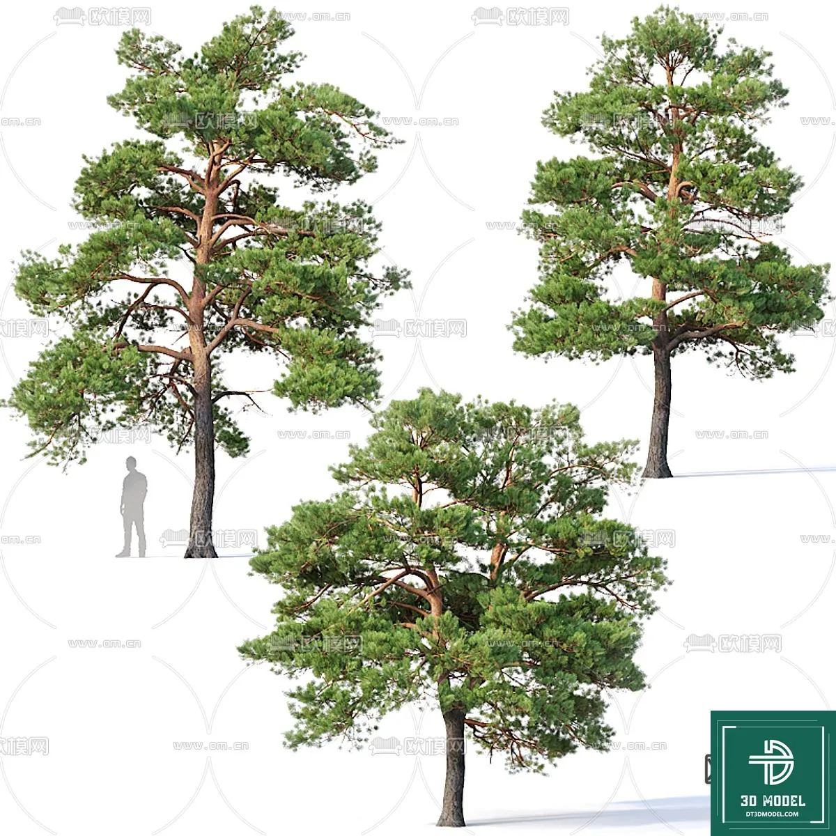 EXTERIOR – TREE – 3D MODELS – 154