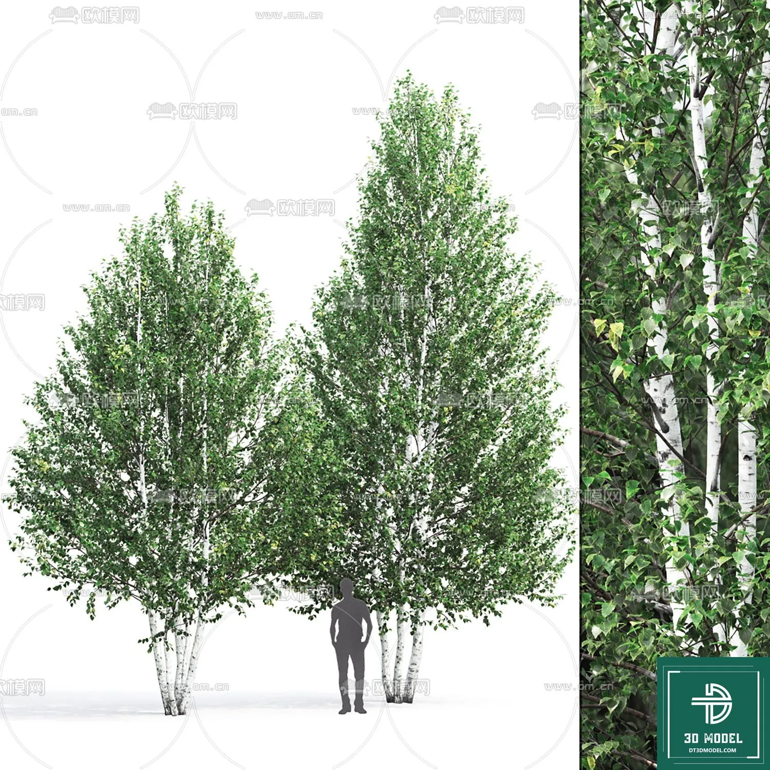 EXTERIOR – TREE – 3D MODELS – 167