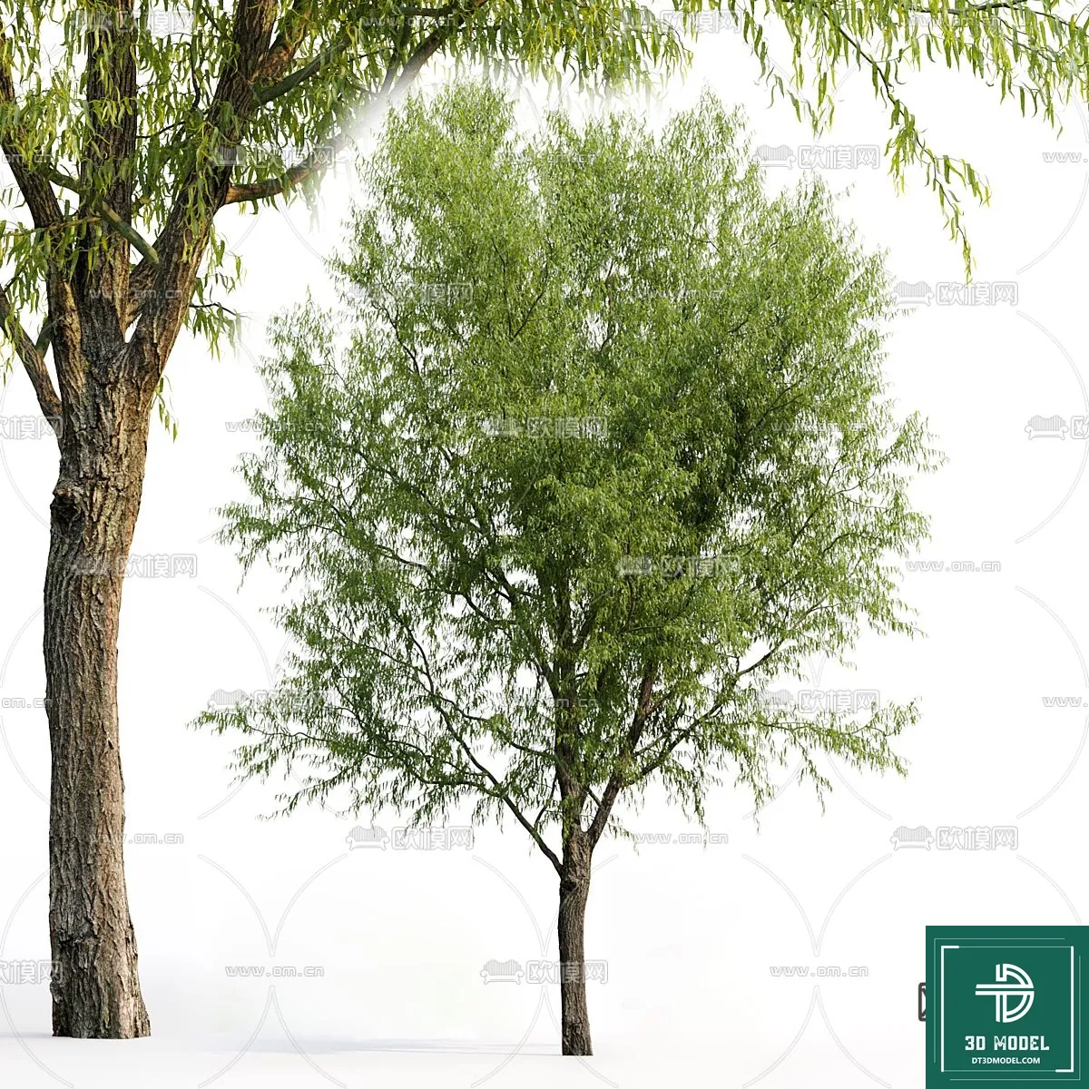 EXTERIOR – TREE – 3D MODELS – 169