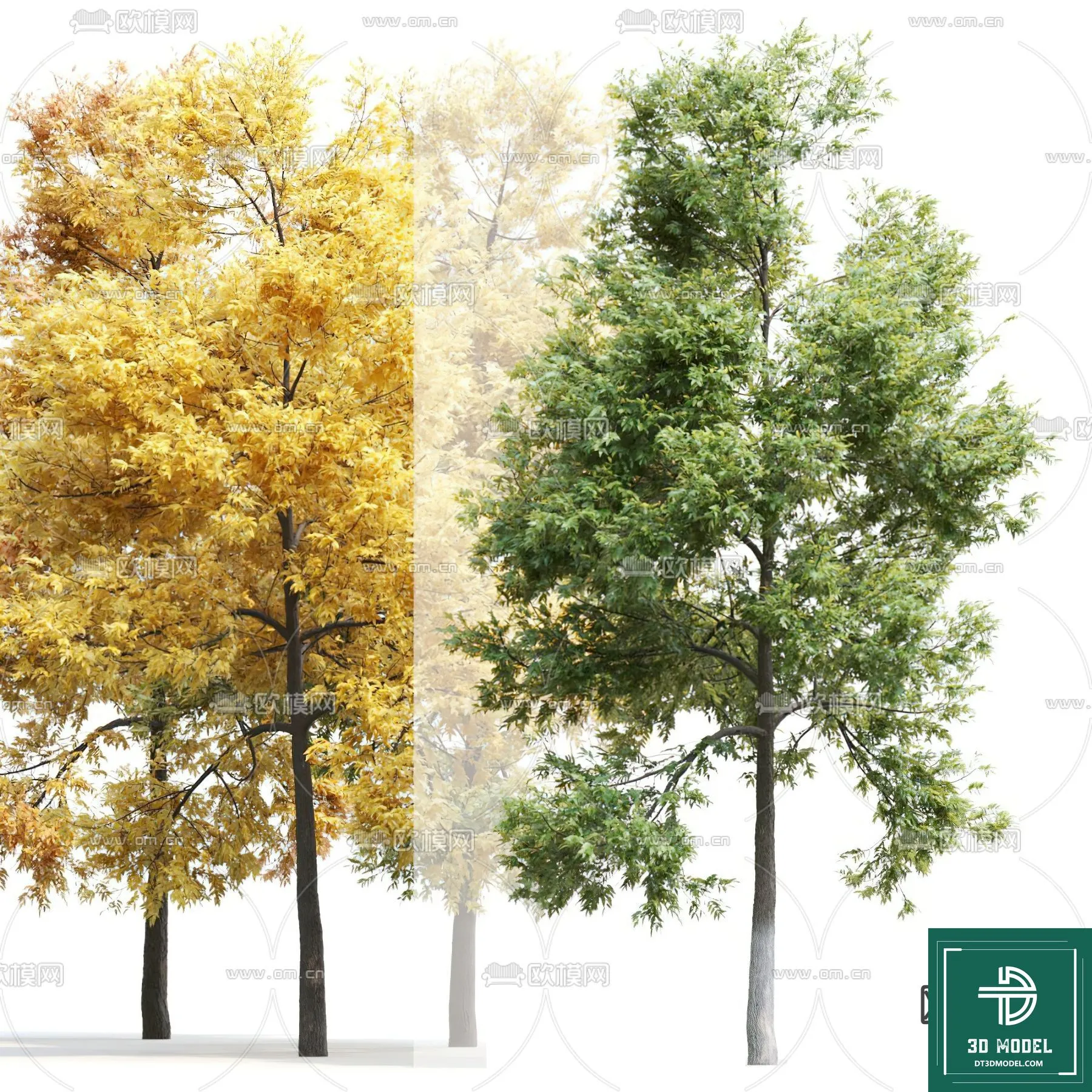 EXTERIOR – TREE – 3D MODELS – 178