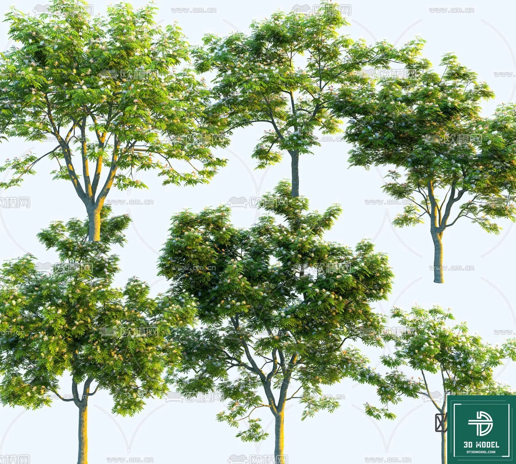 EXTERIOR – TREE – 3D MODELS – 193