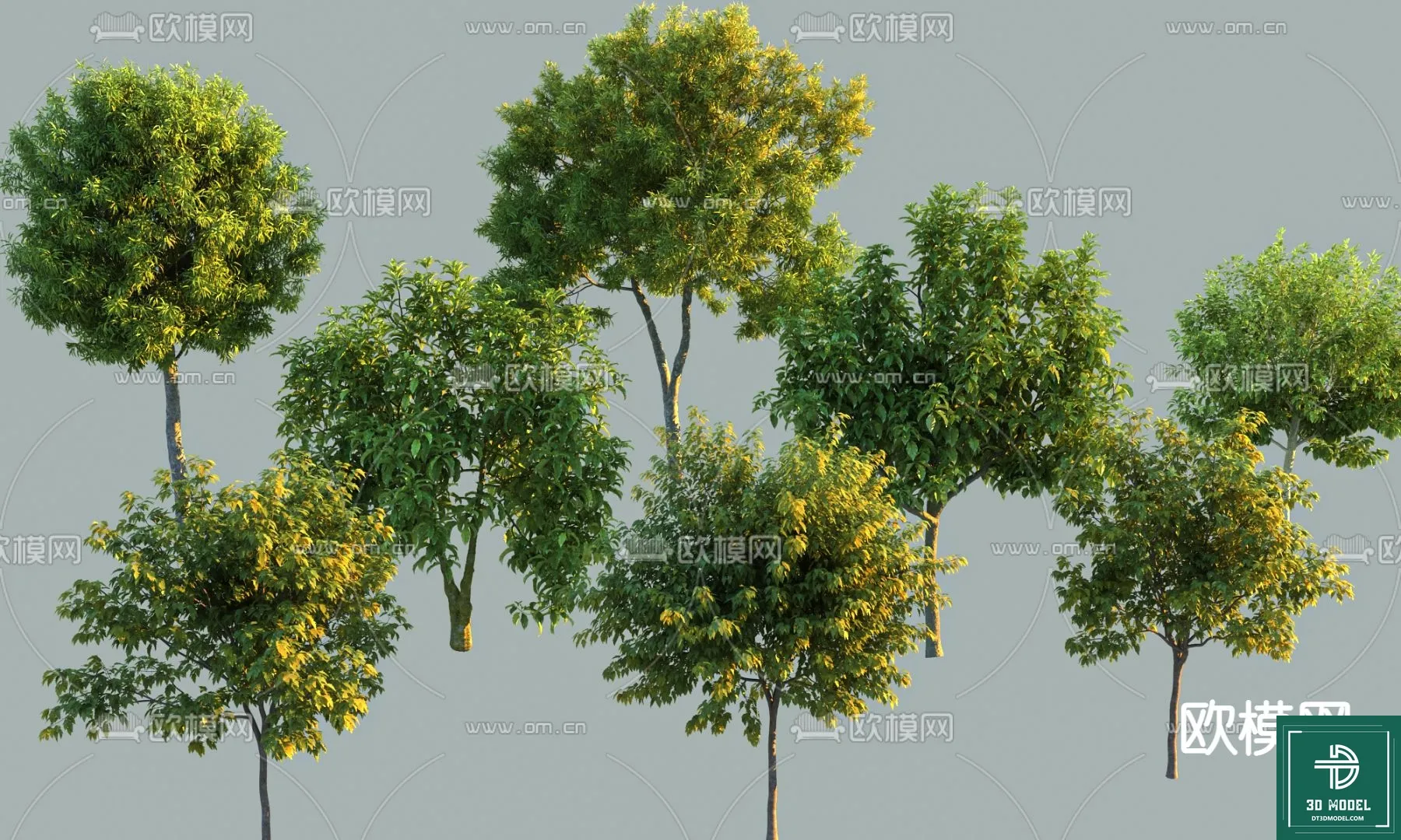 EXTERIOR – TREE – 3D MODELS – 195