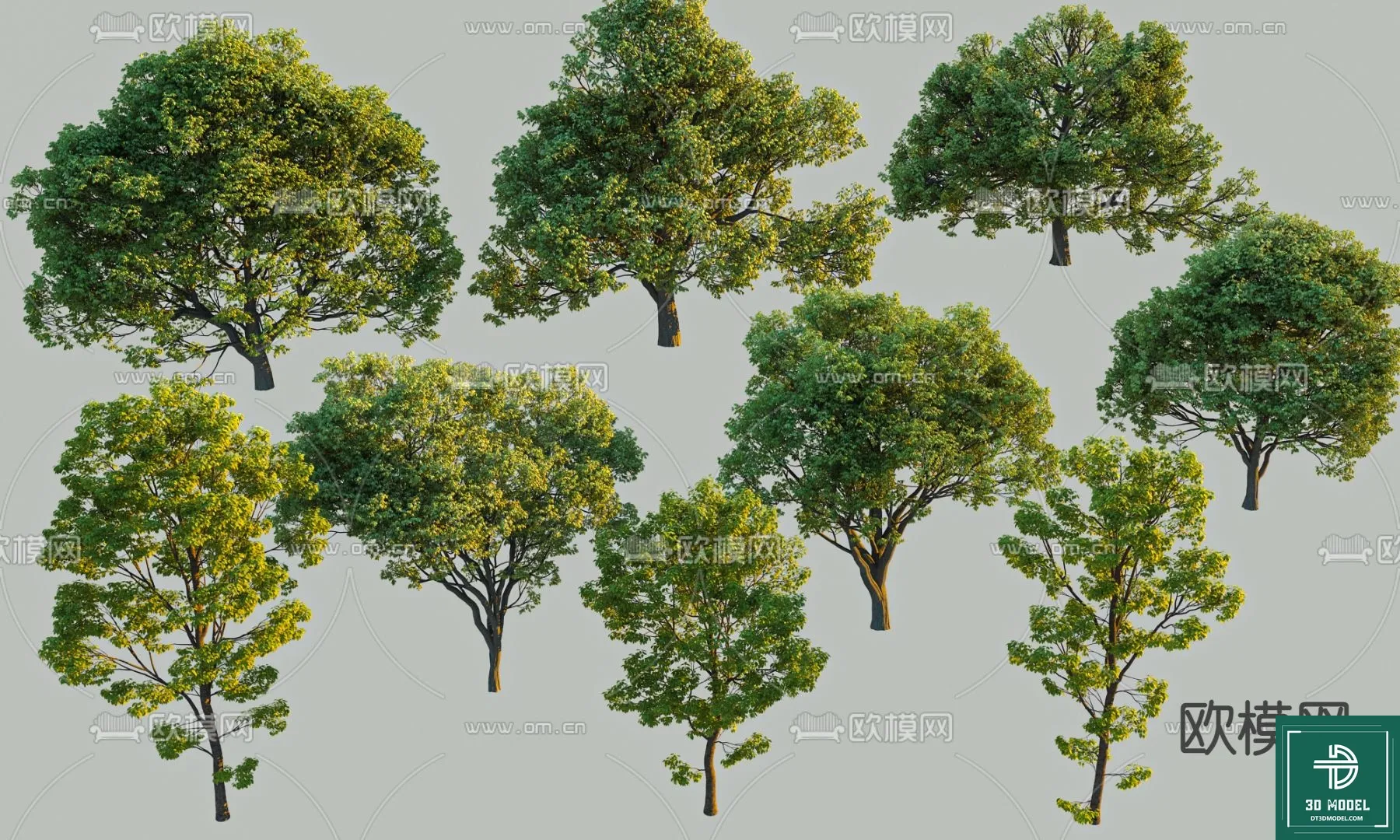 EXTERIOR – TREE – 3D MODELS – 197