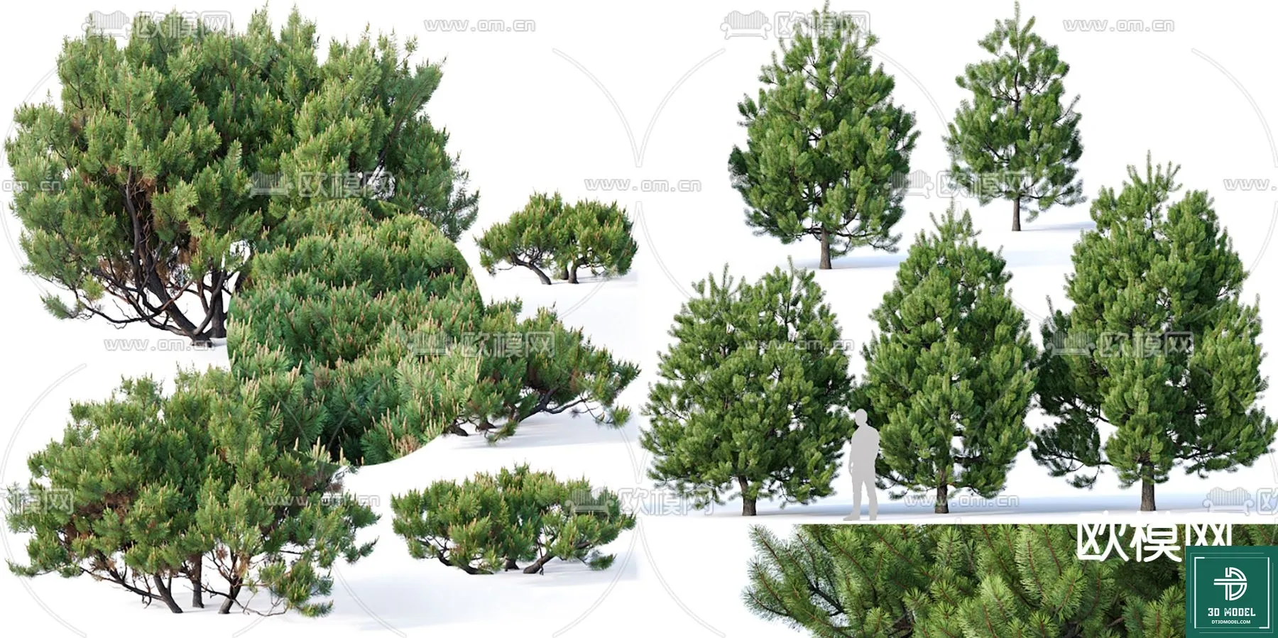 EXTERIOR – TREE – 3D MODELS – 201