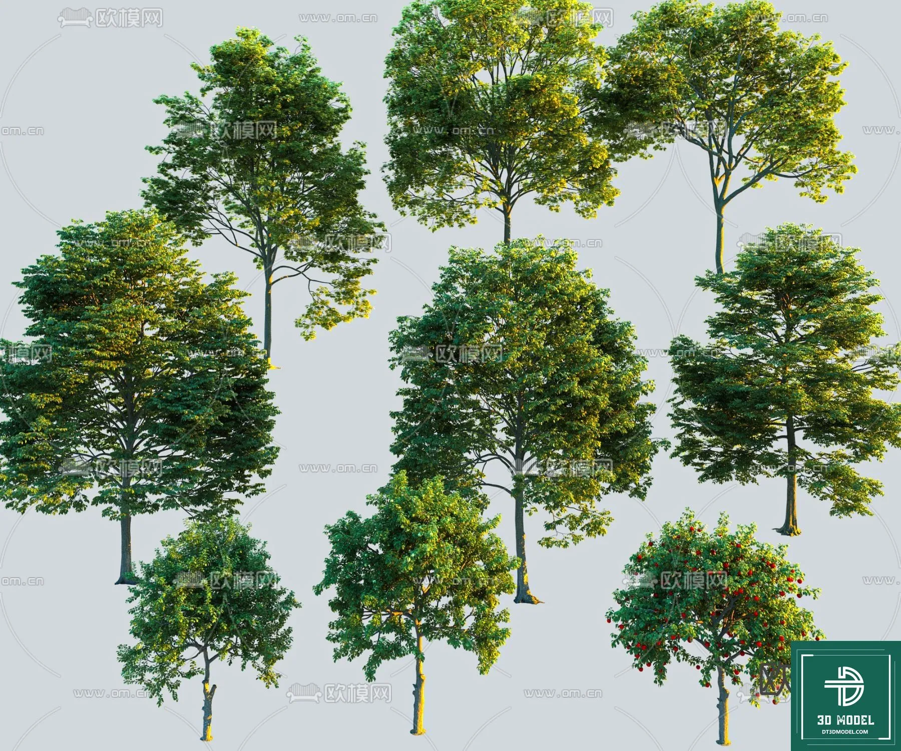 EXTERIOR – TREE – 3D MODELS – 204