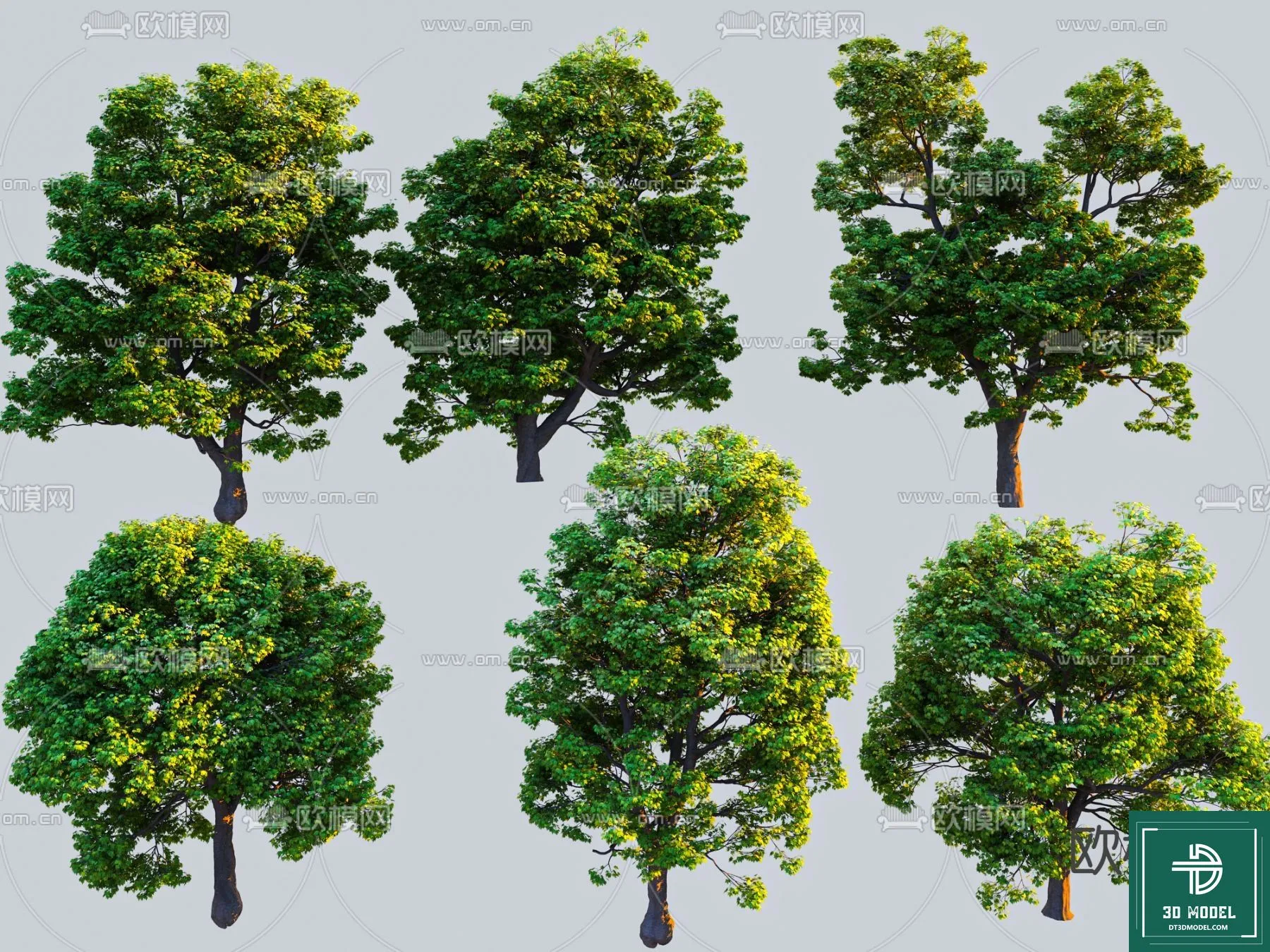 EXTERIOR – TREE – 3D MODELS – 206