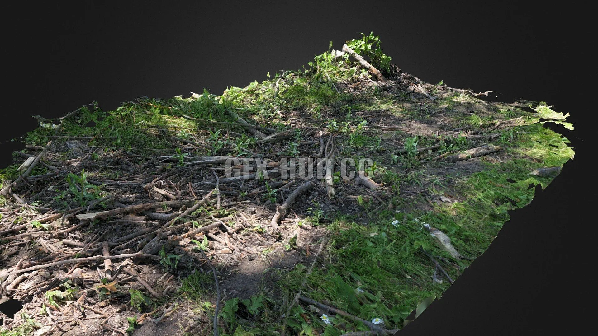 PBR Game 3D Model – Forest floor scan
