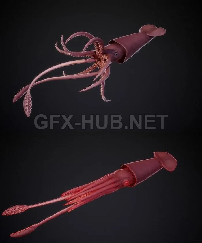 PBR Game 3D Model – Giant Squid